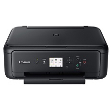 Canon PIXMA HOME TS5160 Printer Ink Cartridges