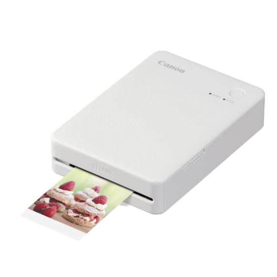 Canon QX20 Printer Ink Cartridges