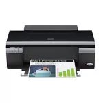 Cartridges for Epson Stylus C110 Printer Ink