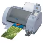 Cartridges for Epson Stylus Photo 895 Printer Ink