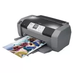 Cartridges for Epson Stylus Photo R250 Printer Ink