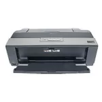 Cartridges for Epson Stylus Photo R1900 Printer Ink