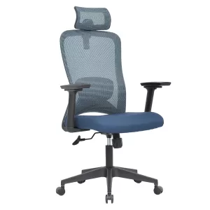 Mesh Back Ergonomic Office Chair with 2D headrest & Lumbar Support & 3D Armrests KAMEX - Blue