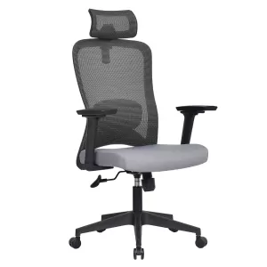 Mesh Back Ergonomic Office Chair with 2D headrest & Lumbar Support & 3D Armrests KAMEX - Grey