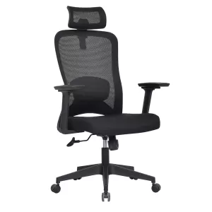Mesh Back Ergonomic Office Chair with 2D headrest & Lumbar Support & 3D Armrests KAMEX - Black